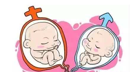 男性因素案例